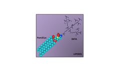 Lipokel - Self Adjuvanting Small Molecule
