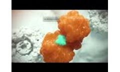 ABX464 Mechanism of Action in Ulcerative Colitis - Video