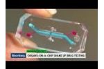 Drug Testing Shake Up with Organs-on-a-Chip - Video