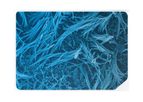 Emulate - Lung-Chip