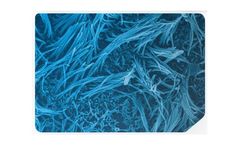 Emulate - Lung-Chip