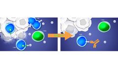 Model OSE-127/ S95011 - Humanized Monoclonal Antibody