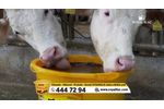 Vitamolix Ruminant - Licking Buckets - Video