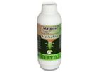 Royal-Ilac - Masdisin Herbafilm
