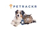 PETRACKR - The Next Generation Veterinary Blood Glucose Monitoring System - Video