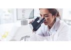 Off-the-Shelf Natural Killer (NK) Cells for Oncology