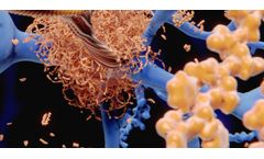 Fluorescent Ligand Eye Scanning (FLES)