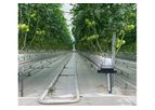 BHK - Hydroponic Tomato Greenhouse System