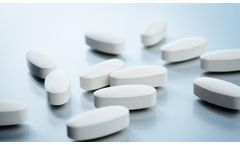 Seppic - Model PC-10 - Pregelatinized Starch