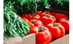Differential Mobility Spectrometry For Food Industry