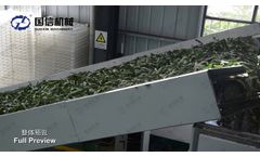 Lotus slice drying machine from Guoxin machinery - Video