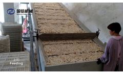 Yam drying oven from Guoxin machinery - Video