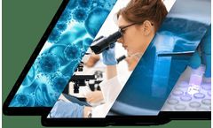 Human Peripheral Blood Mononuclear Cells (PBMCs)