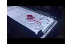 Platelet Function Tests, ???ANYSIS??? - Video