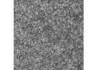 Animal Liver Cells & Subcellular Fractions
