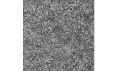 Animal Liver Cells & Subcellular Fractions