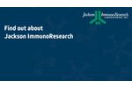 Find out about Jackson ImmunoResearch Secondary Antibodies - Video