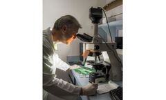 Jackson - Secondary Antibody Bulk Service