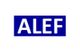 ALEF Srls