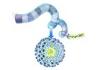 HepTcell - Immunotherapeutic for Chronic Hepatitis B Infections