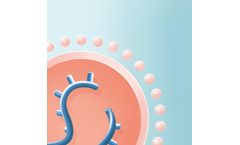 Non-Viral Nucleic Acid Delivery