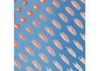 Model iPSC-derived - Mesenchymal Stem/Stromal Cells (Msc)