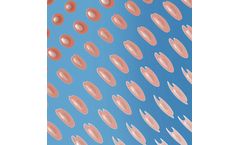 Model iPSC-derived - Mesenchymal Stem/Stromal Cells (Msc)