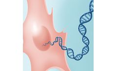Gene Edited iMSC