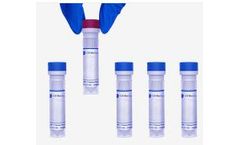 CD-BioGlyco - Model XGB0455 - Electrophoresis Film for Agarose Gels