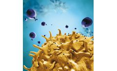 MicroBeads - Model MACS - Magnetic Beads for Gentle Cell Isolation