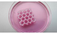 Regemat - Model PCL - Biomaterials