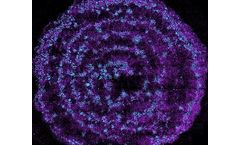 mimiX - Sound Induced Morphogenesis Technology