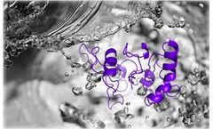 Profacgen Launched Antibiotic-free Expression System for Protein Expression Service