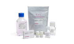 PCR-Biosystems - Model qPCRBIO - Probe 1-Step Virus Detect Reagents