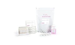 qPCRBIO SyGreen Mix - qPCR Reagents