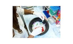 Stem Pharm - Services