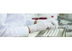 Integrated Project Development Services