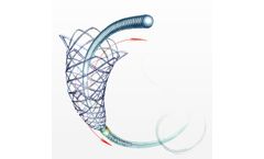 Balt - Model LEO+ - Self-Expandable Braided Stent