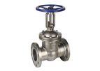 Lucky6s - Model API 6D - Gate Valve