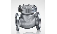Lucky6s - Model API 6D - Check Valves
