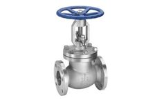 Lucky6s - High Pressure Globe Valve