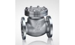Lucky6s - High Pressure Check Valve