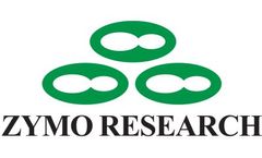 Epigenetic Age Analysis Service