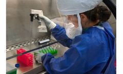 Assay R&D Services