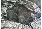 TPE “BONUSTRADE” LLC (UKRAINE) - Pulverized graphite (Графит пылевидный ГП)