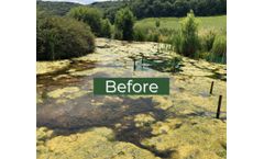 Shallow Pond Aerators in Blandford Dorset