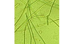 Microbia - Model ADA - CARLA Kit