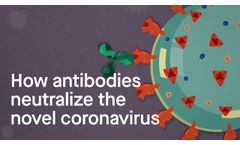 COVID-19 vaccine - Video