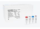 Boditech - ExAmplex COVID-19 PCR 3-gene Kit