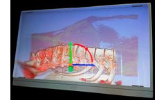 Model HoloMedX TM - Holographic Surgical Simulation Platform
